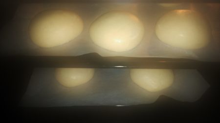 Panini soffici pasta madre